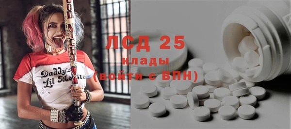 шишки Абинск
