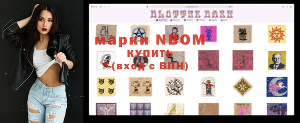 шишки Абинск