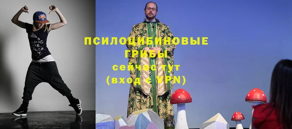 шишки Абинск