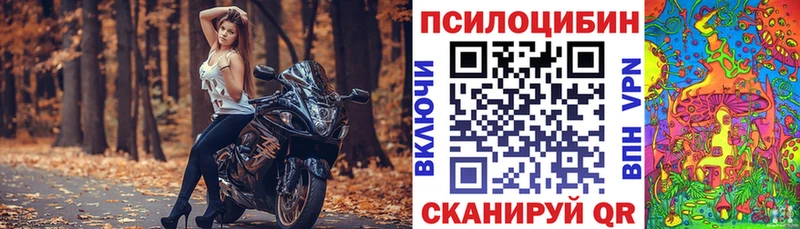 Галлюциногенные грибы ЛСД  MEGA онион  Терек 