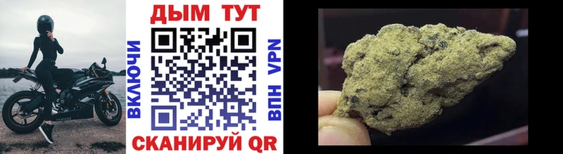 Канабис планчик Терек